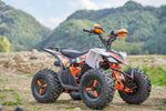 ATV EverJoy Sports de 125 cc, monocilíndrico con arranque eléctrico
