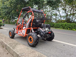 Kart de gasolina EverJoy (2 plazas)