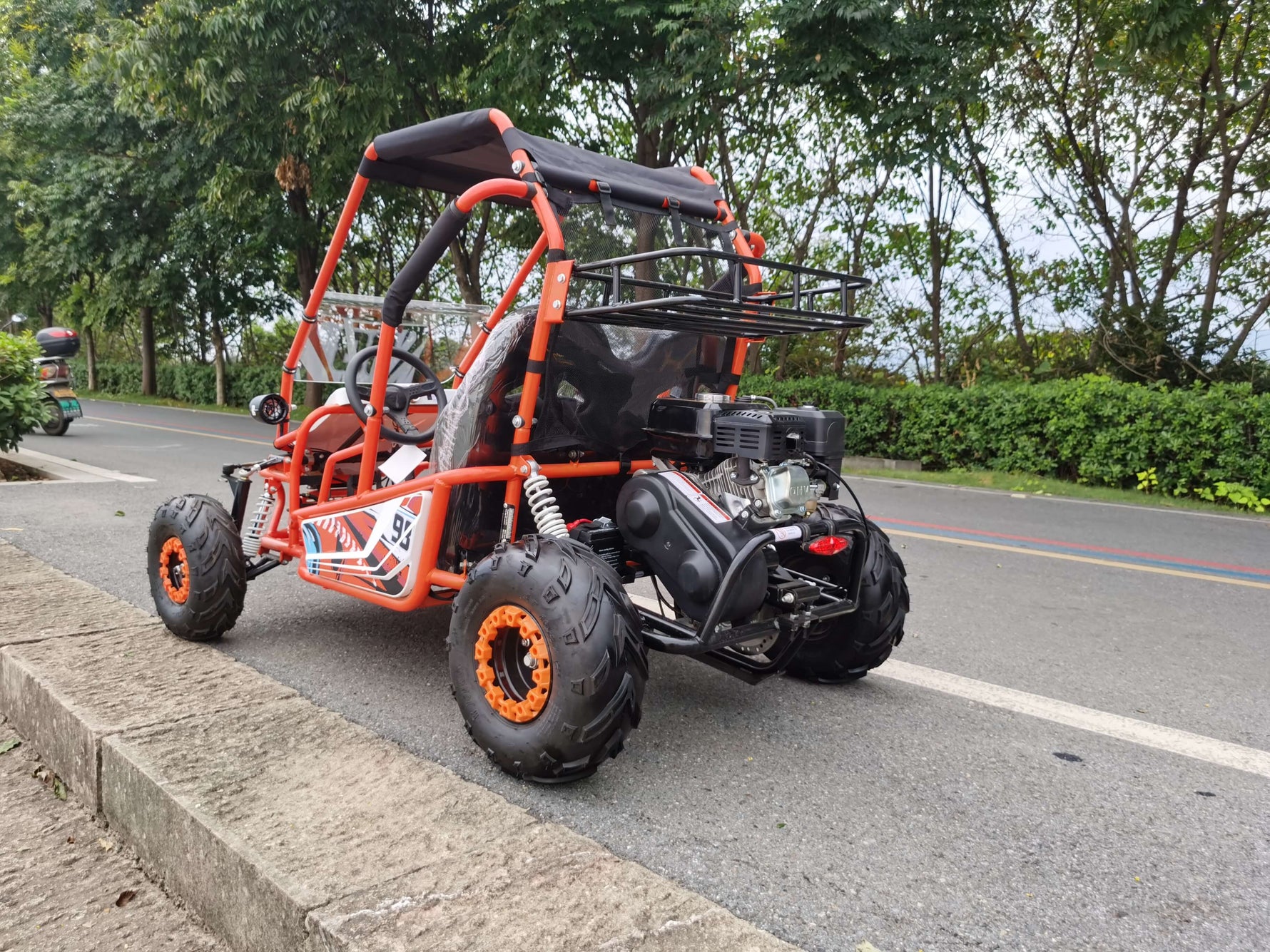 Kart de gasolina EverJoy (2 plazas)